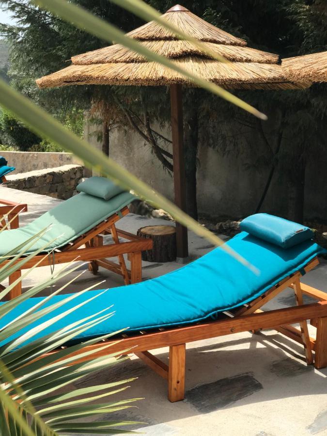 Moradia Rural De Charme Agradavel E Acolhedora Villa Arrimal Ngoại thất bức ảnh