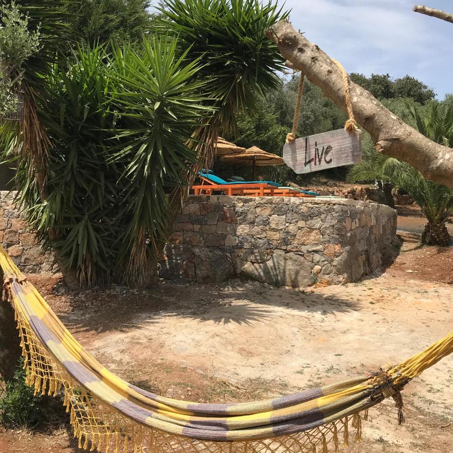 Moradia Rural De Charme Agradavel E Acolhedora Villa Arrimal Ngoại thất bức ảnh