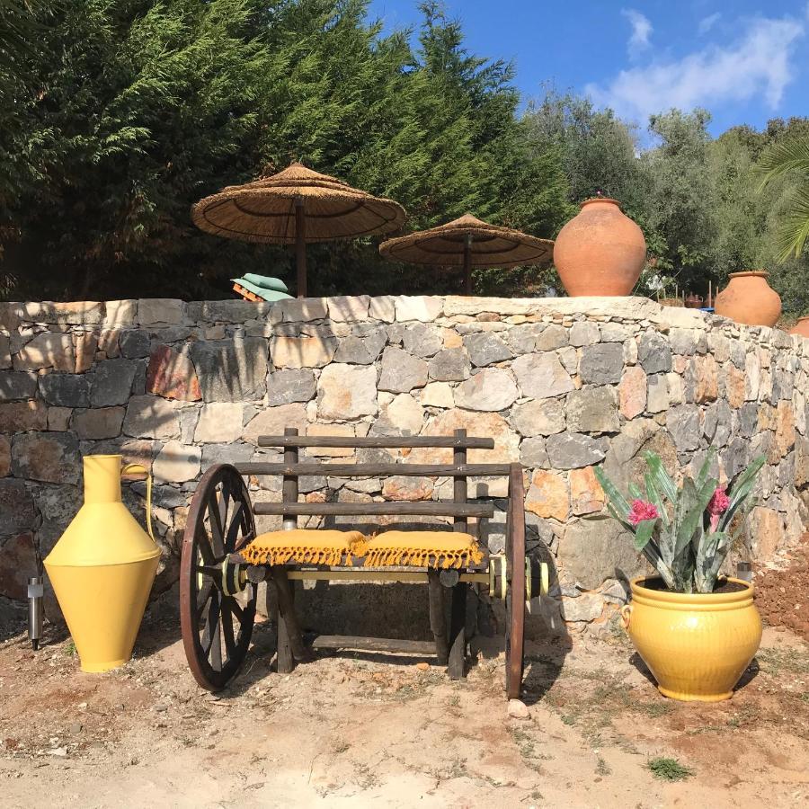 Moradia Rural De Charme Agradavel E Acolhedora Villa Arrimal Ngoại thất bức ảnh