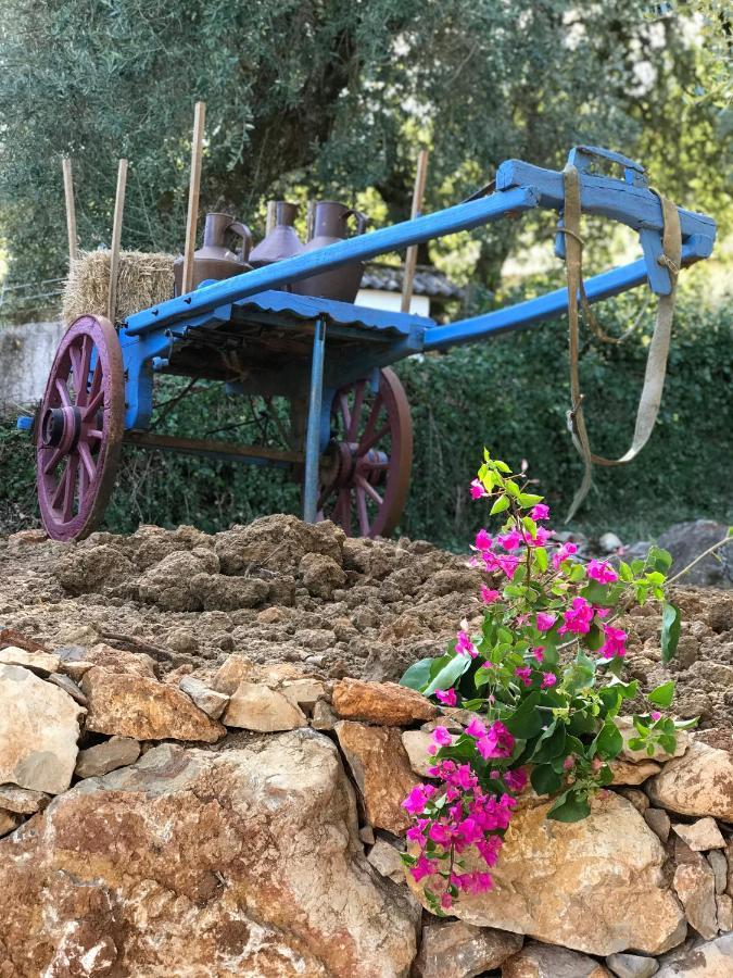 Moradia Rural De Charme Agradavel E Acolhedora Villa Arrimal Ngoại thất bức ảnh