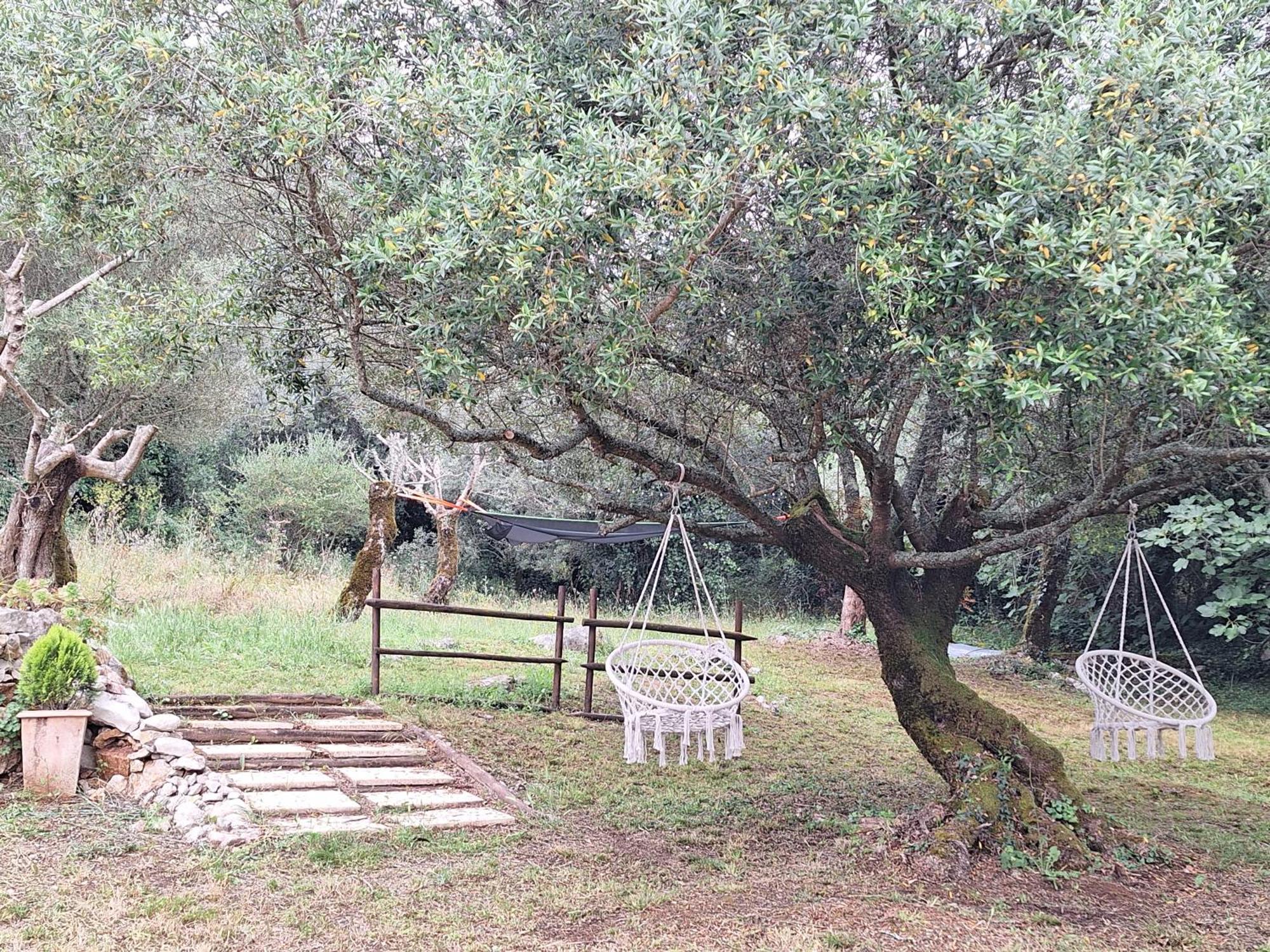 Moradia Rural De Charme Agradavel E Acolhedora Villa Arrimal Ngoại thất bức ảnh