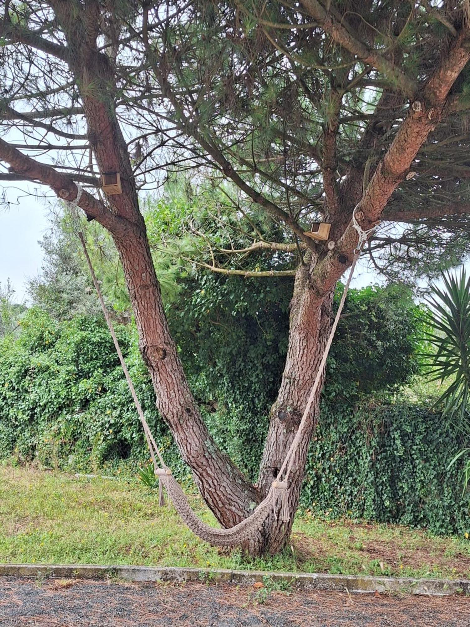 Moradia Rural De Charme Agradavel E Acolhedora Villa Arrimal Ngoại thất bức ảnh